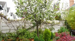 Compton Guest House - Image 5