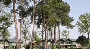 Quartier des peintres - Poussin - Image 4