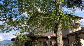 Villa Casavecchia Caselli - Image 4