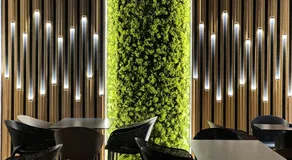 Blue Star Apartments - Image 3
