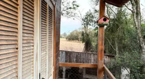 Casa da Árvore - Image 5