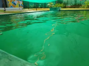 AYAN GREEN RESORT KARJAT - Image 3