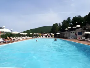 Hotel Pineta - Image 2