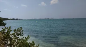 Arubaapartamentos - Image 5