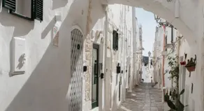 Cà Giò - Image 4