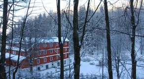 Hotel Alba - Image 5