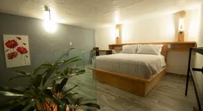 El Jardín de la Abuela - Image 2