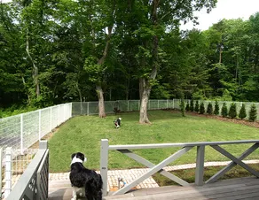 Forest Garden Karuizawa La Topiary - Image 5