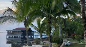Dolphin Blue Paradise - Image 3