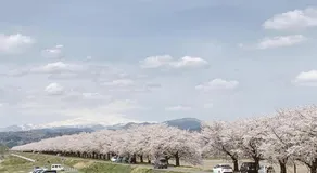 民泊やまねこ - Image 5