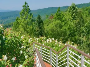 Country Inn & Suites by Radisson Shaoguan Xihe Sports Center Mines Park - Image 5