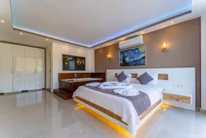 Premium Villa - Image 2