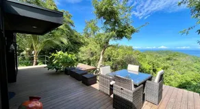 Sweet Jungle - Image 3