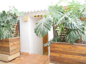 Nanit Rooms Ibiza Hostal - Image 5