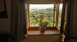 B&B Paradiso - Image 5