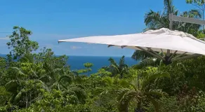 Bois Joli - Image 4