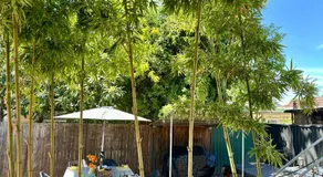 The Sydney Manor - Huge 2BR Ground Floor Home with Hot Tub & walk to train - Image 5
