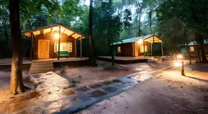 seethanadi Nature Camp-Jungle Lodges - Image 4
