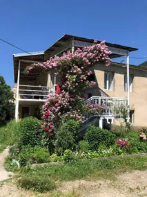 Guesthouse am Museum - Image 3
