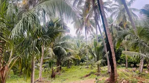 Mayukham Farm House - Image 4