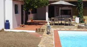 New Village - Image 5