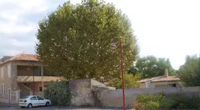 La maison d'Offaly - Image 1