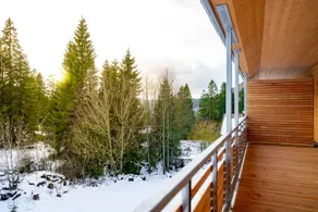 Ferienwohnung Feldberg Schwarzwald - Image 3