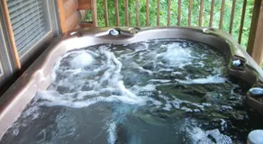 Southern Grace - Image 3