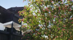 Gästehaus Rössler - Image 3