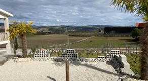 Triarca Vinum House - Image 3