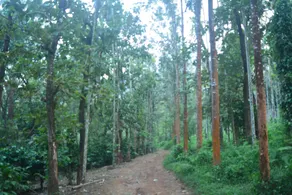 Stream Garden Mountain Resort - Image 4