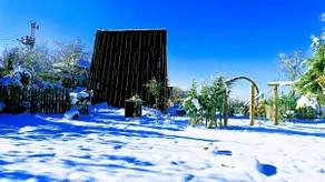 rose garden bungalow - Image 4