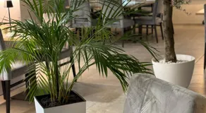 Hôtel du Commerce-restaurant au Couteau - Image 2