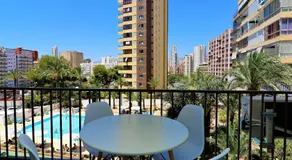 Bermudas 313 - Image 4