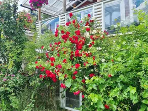 person holiday home in ARSTA HAVSBAD - Image 5