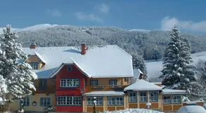 Edelsteinhotel Guniwirt - Image 3
