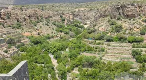 Seeq view - Image 4