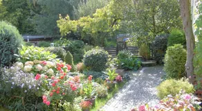 Apartmán v secesní vile - Image 5