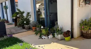Torremana - Image 4