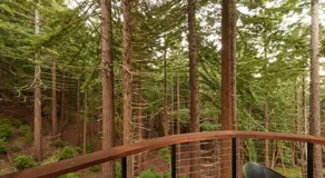 ~* The Spectacular Spyglass Treehouse *~ - Image 5