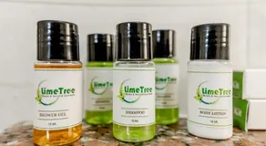Lime Tree Studio Near Fortis Gurgaon - Image 3