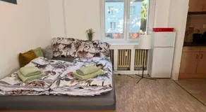 Peaceful apartment - centre in 10 min - Image 5