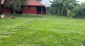 The Thinnai Farm - Image 2