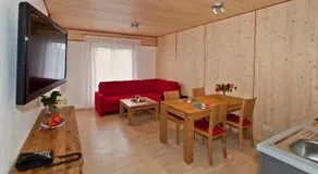 Fewo-Kerschbaum - Image 4