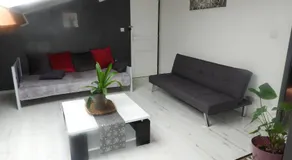 Appartement mansardé et climatisé 50 m2 - Image 5
