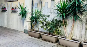 Via Padova 165 - Image 2