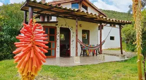 Jardin Colibri RNT 33633 - Image 3