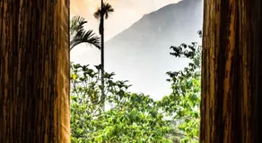 Nandana's Residency Munnar - A 4BHK Homestay for Indian Families - Image 2