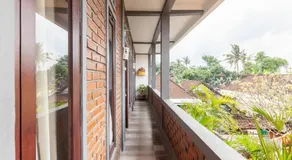 The Backyard House - Image 3