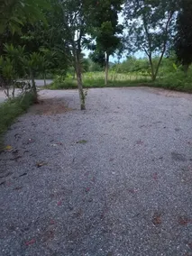 Khunyaikiew homestay - Image 4